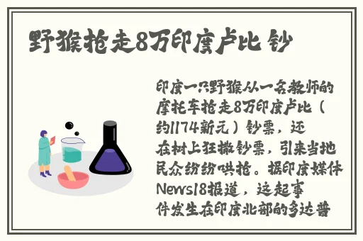 菠萝蜜进口路线区一